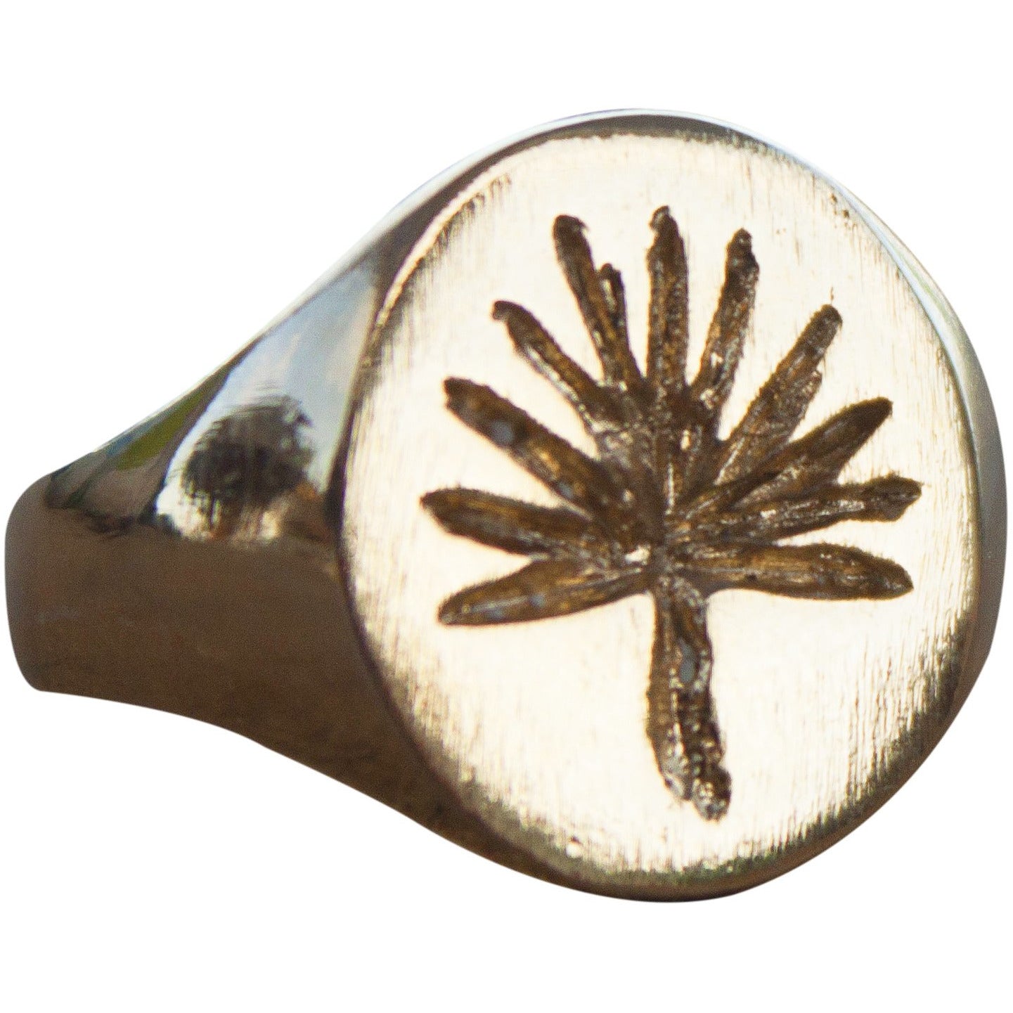 Signet Ring